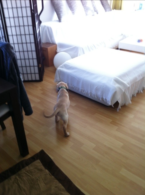 20120118-164310.jpg